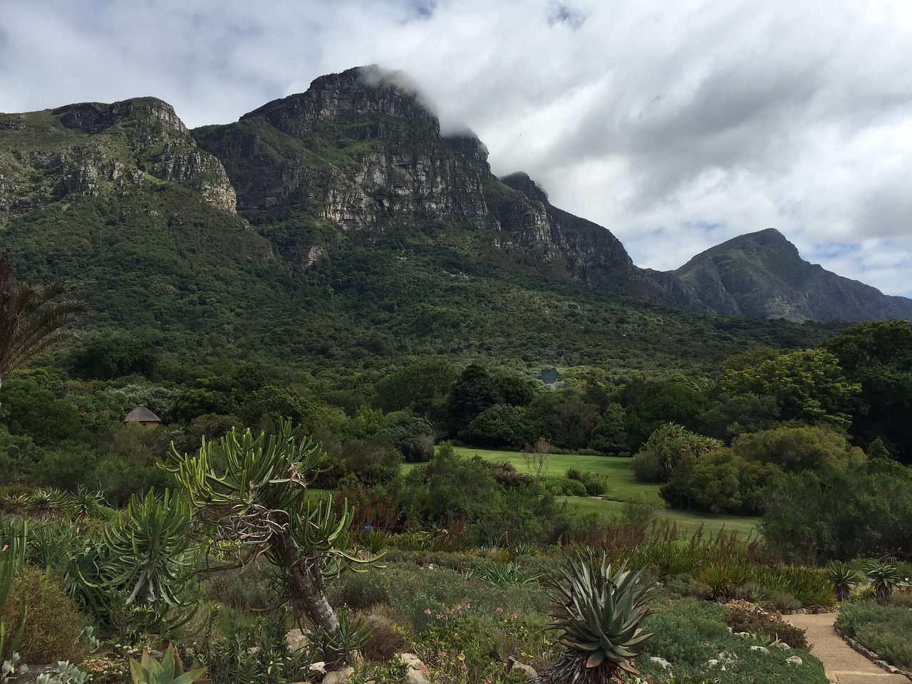 Why Cape Town is a Hidden Gem for Adventure and Nature